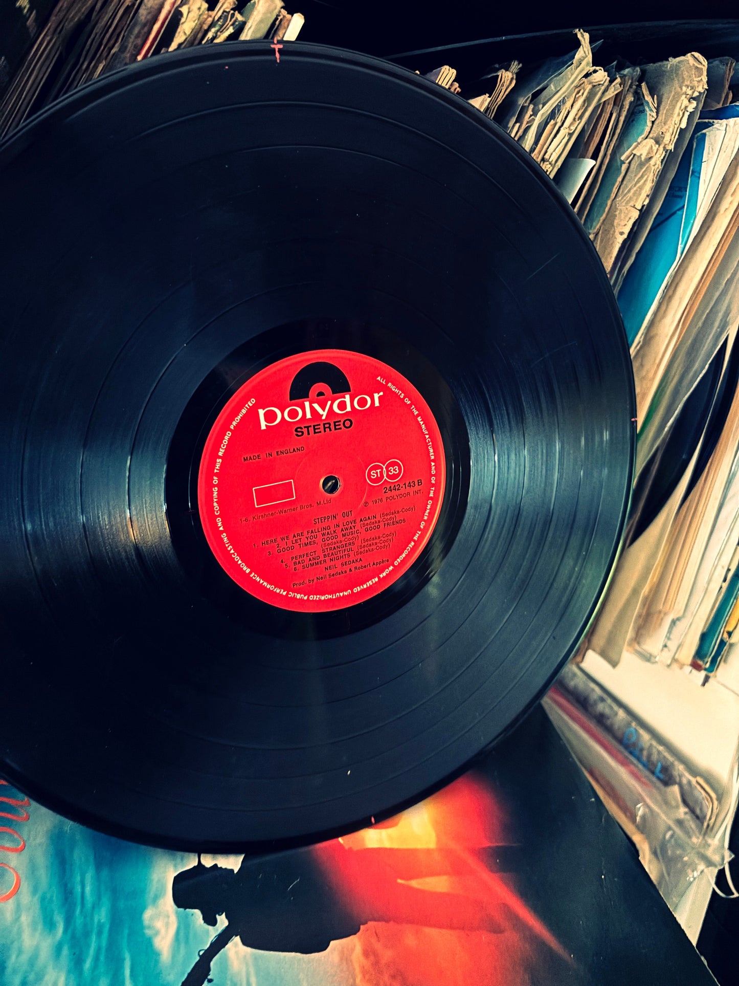 POLYDOR red and black large teardrop earrings